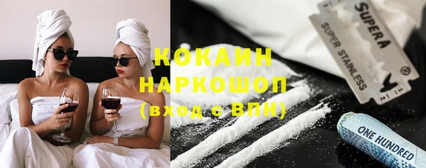 индика Алзамай