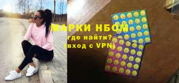 индика Алзамай