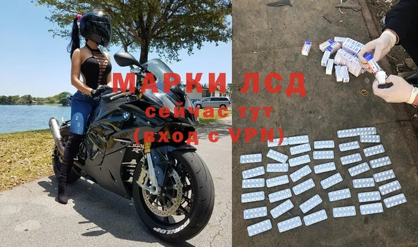 ГАЛЛЮЦИНОГЕННЫЕ ГРИБЫ Алексеевка