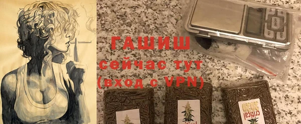индика Алзамай