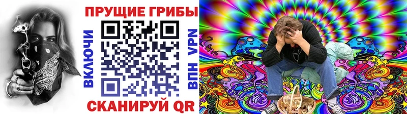 дарнет шоп  Пенза  нарко площадка состав  Псилоцибиновые грибы мицелий 